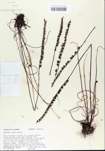 TTRS_000005429-thumbnail.jpg