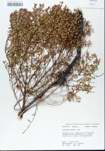 TTRS_000005613-thumbnail.jpg