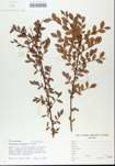 TTRS_000005618-thumbnail.jpg