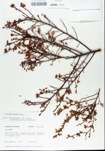 TTRS_000005622-thumbnail.jpg
