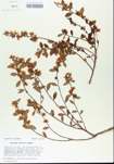 TTRS_000005626-thumbnail.jpg