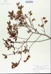 TTRS_000005628-thumbnail.jpg