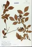 TTRS_000005631-thumbnail.jpg