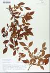 TTRS_000005634-thumbnail.jpg