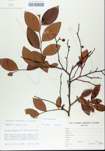 TTRS_000005636-thumbnail.jpg