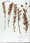 TTRS_000005638-thumbnail.jpg