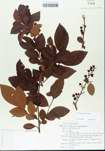 TTRS_000005641-thumbnail.jpg