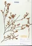 TTRS_000005644-thumbnail.jpg