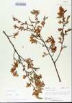 TTRS_000005645-thumbnail.jpg