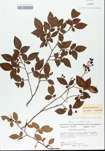 TTRS_000005646-thumbnail.jpg