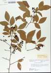 TTRS_000005650-thumbnail.jpg