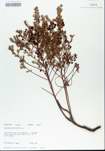 TTRS_000005655-thumbnail.jpg