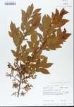 TTRS_000005665-thumbnail.jpg