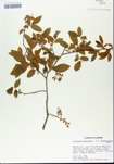 TTRS_000005666-thumbnail.jpg