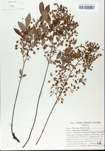 TTRS_000005670-thumbnail.jpg