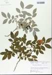 TTRS_000005678-thumbnail.jpg
