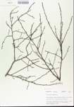 TTRS_000005680-thumbnail.jpg