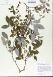 TTRS_000005681-thumbnail.jpg