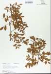 TTRS_000005683-thumbnail.jpg