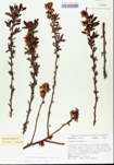 TTRS_000005687-thumbnail.jpg