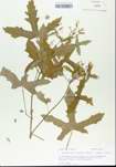 TTRS_000005751-thumbnail.jpg