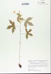 TTRS_000005752-thumbnail.jpg