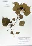 TTRS_000005839-thumbnail.jpg