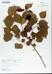 TTRS_000005840-thumbnail.jpg