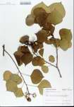 TTRS_000005841-thumbnail.jpg