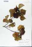 TTRS_000005842-thumbnail.jpg