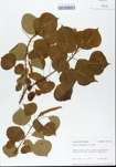 TTRS_000005843-thumbnail.jpg