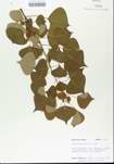 TTRS_000005844-thumbnail.jpg