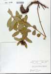 TTRS_000005860-thumbnail.jpg