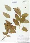 TTRS_000005861-thumbnail.jpg