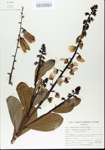 TTRS_000006035-thumbnail.jpg