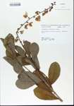 TTRS_000006037-thumbnail.jpg