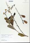 TTRS_000006038-thumbnail.jpg