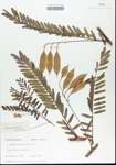 TTRS_000006193-thumbnail.jpg