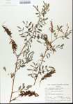 TTRS_000006203-thumbnail.jpg