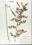 TTRS_000006204-thumbnail.jpg