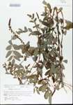 TTRS_000006206-thumbnail.jpg