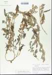 TTRS_000006207-thumbnail.jpg