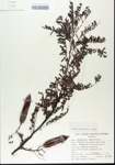 TTRS_000006386-thumbnail.jpg