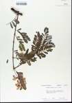 TTRS_000006387-thumbnail.jpg