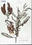 TTRS_000006389-thumbnail.jpg