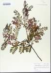 TTRS_000006390-thumbnail.jpg