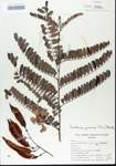 TTRS_000006391-thumbnail.jpg