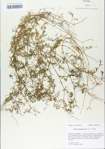 TTRS_000006504-thumbnail.jpg