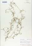 TTRS_000006506-thumbnail.jpg