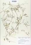 TTRS_000006507-thumbnail.jpg